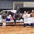 Thatâ€™s a Wrap: Extreme Mustang Makeover, Ocala, FL
